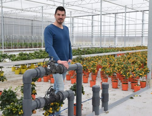 Water- en elektrotechnische installaties voor Luiten Kwekerij