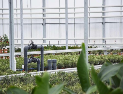 Water- en elektrotechnische installaties voor Luiten Kwekerij
